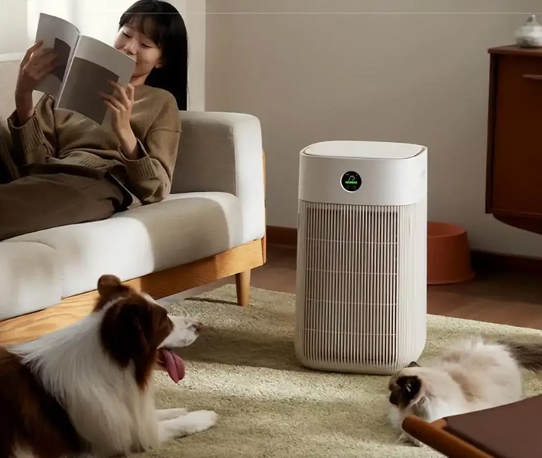 В этом сезоне обострится аллергия? Вот почему ваш фильтр очистителя воздуха — настоящий герой